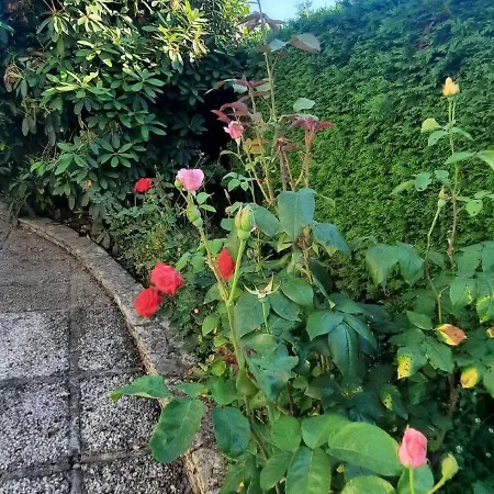 Maison Village De Bigorre شقة *